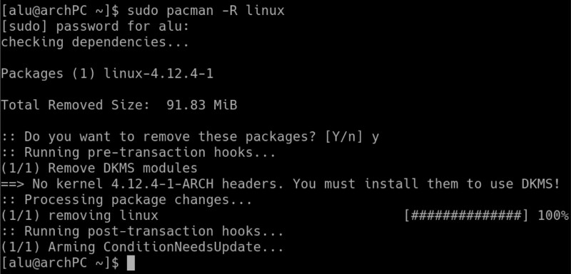 ternimal: remove kernel in Arch Linux 