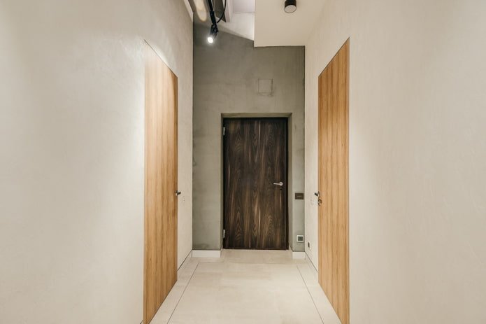 двери в интерьере прихожей в стиле минимализм
