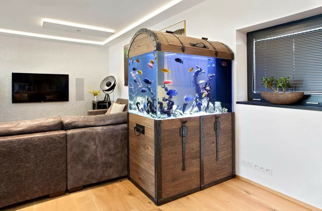 необычный дизайн аквариума