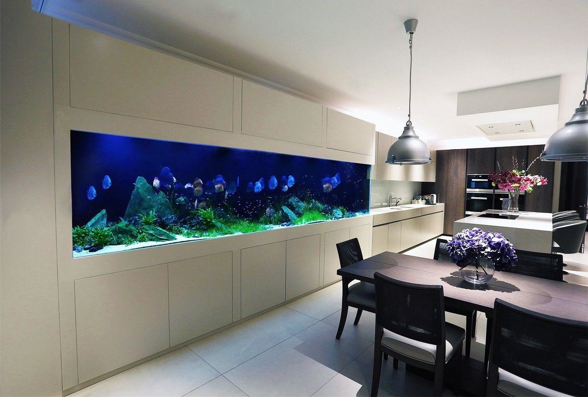 аквариум в интерьере кухни