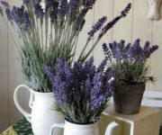 Kitchen Provence – Flowers in porcelain vases