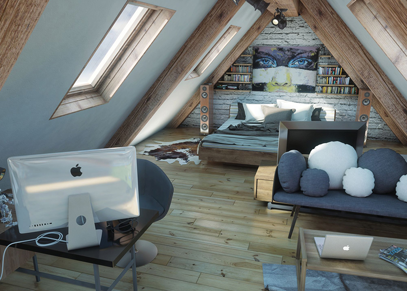 Attic visualization