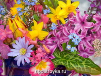 Фотопечать цветы Фото 186